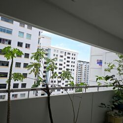 Blk 13 BOON KENG VILLE (Kallang/Whampoa), HDB 4 Rooms #547691481